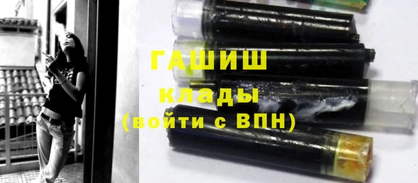 стаф Гусев