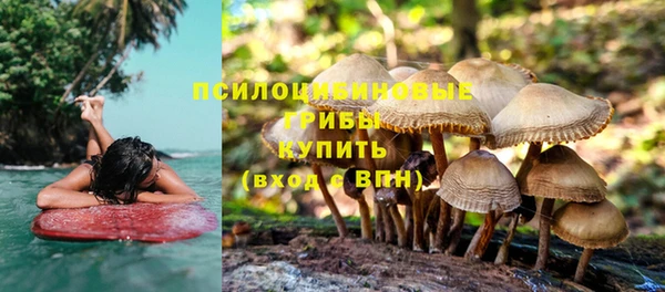 спайс Гусиноозёрск