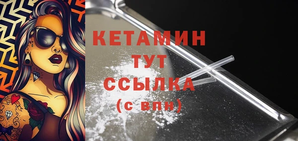 стаф Гусев