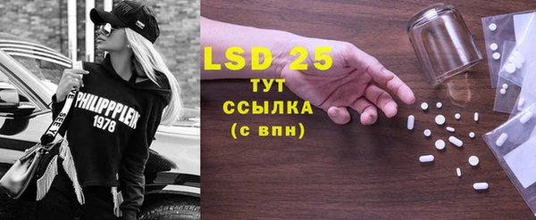 стаф Гусев