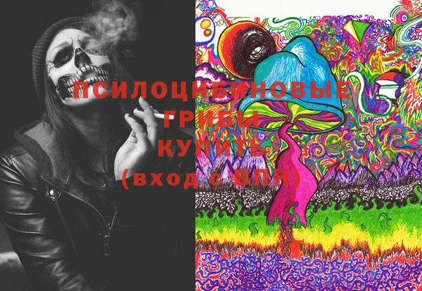 стаф Гусев